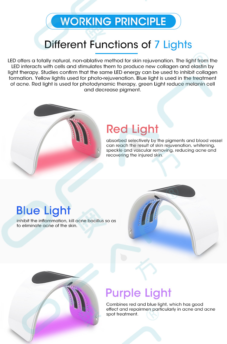 7 Color Foldable LED Light Photodynamic PDT Machine | Light Therapy Machine Facial Photon Skin Rejuvenation | Portable Beauty Equipment for Face, Body, Skin Care