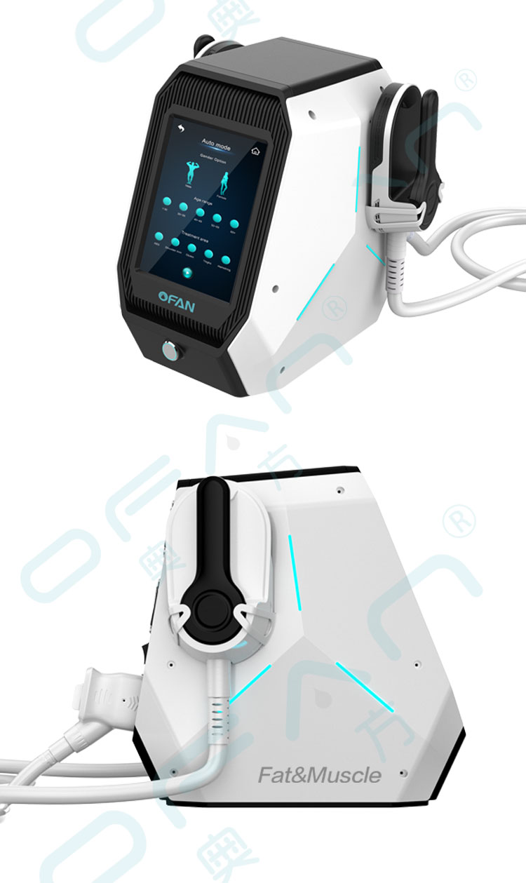 Portable Teslasculptor