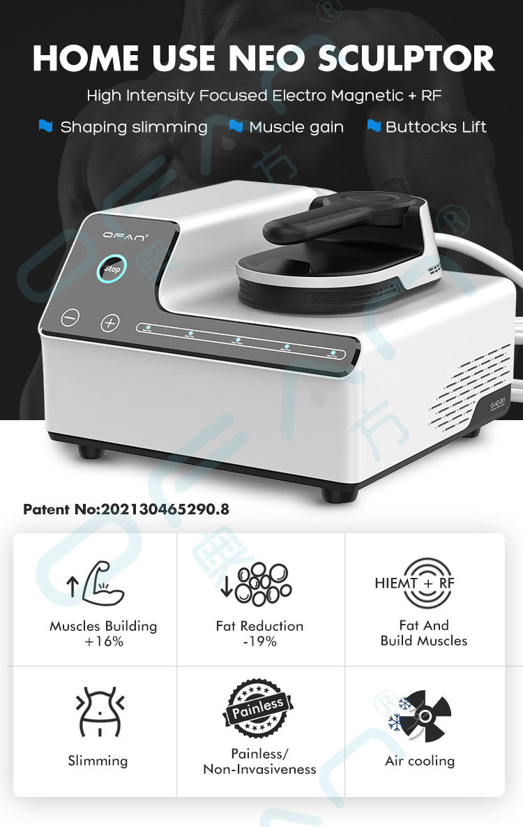 Home Use NEO Sculptor