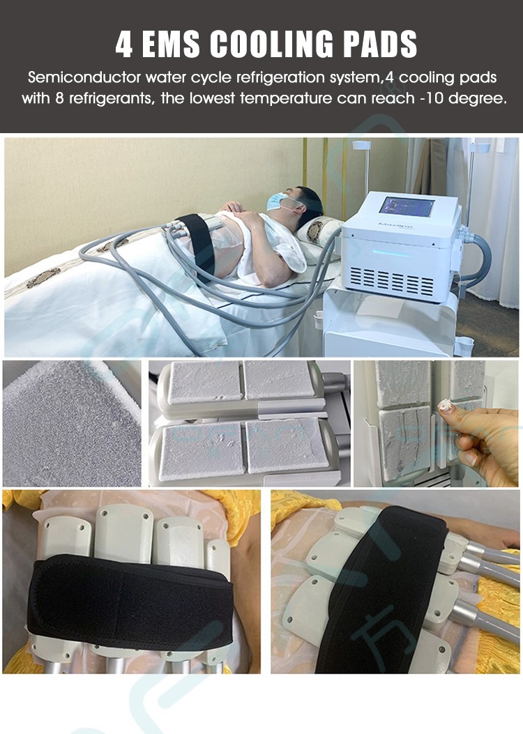 EMS Cryo Plate Slimming Machine