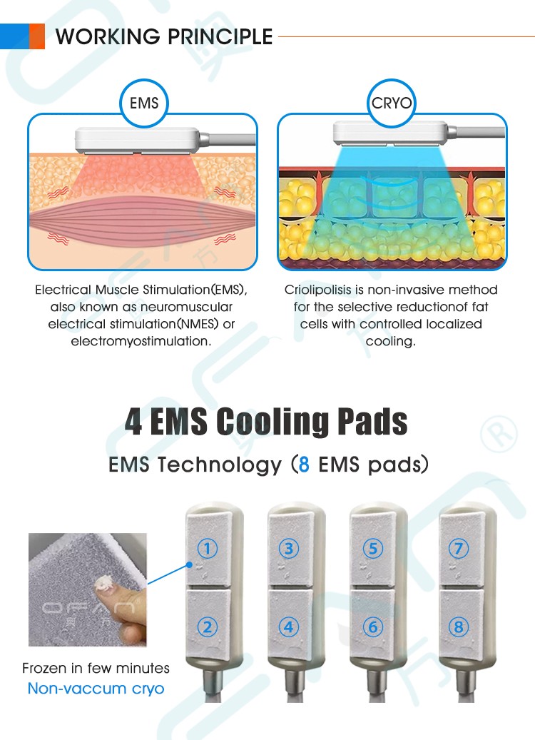 EMS Cryo Plate Slimming Machine