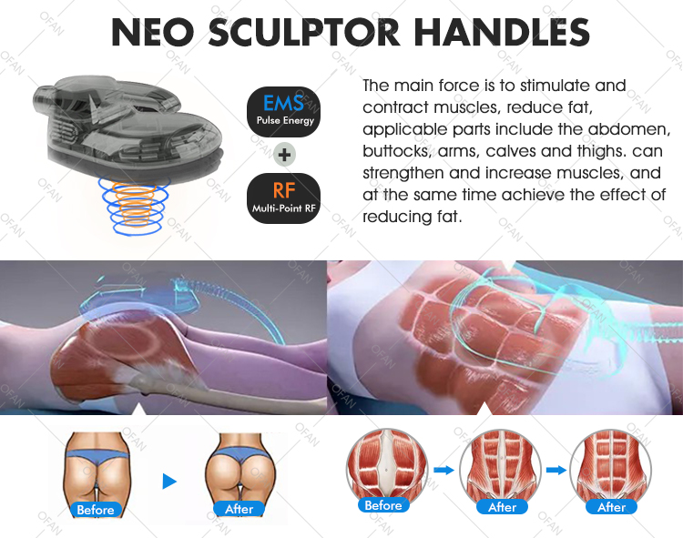 Home Use NEO Sculptor