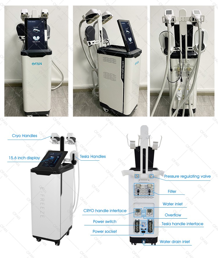 2in1 Cryo360 Tesla Machine