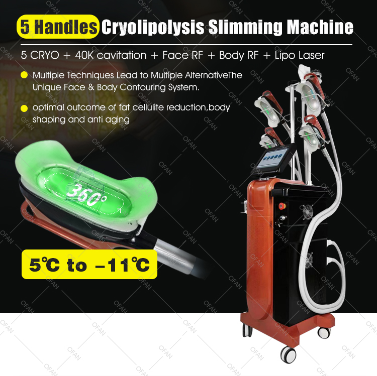 Cryolipolyse 360Cryo 5 handles Slimming Machine