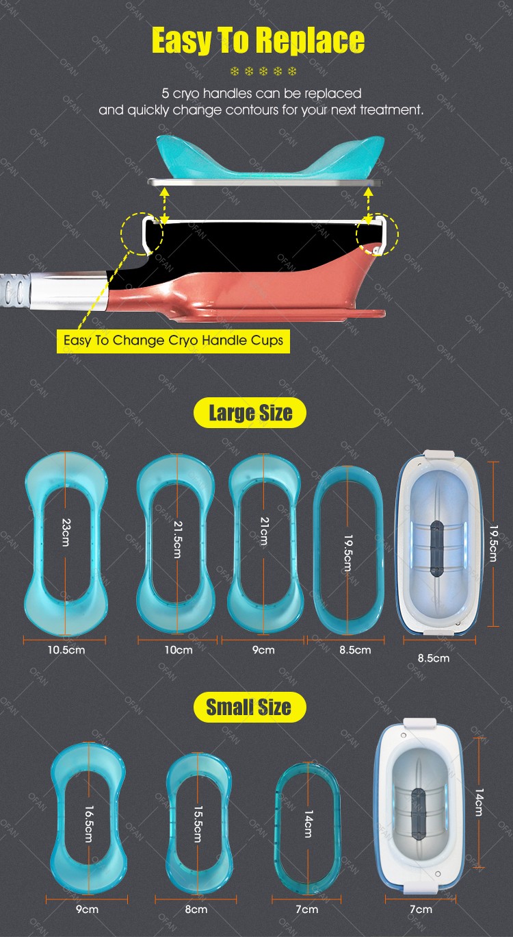 Cryolipolyse 360Cryo 5 handles Slimming Machine