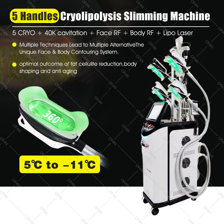 Cryolipolyse 360Cryo 5 handles Body Slimming Machine