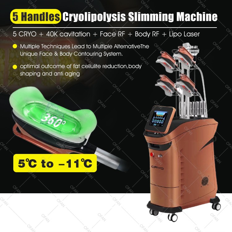 Vertical Cryolipolyse 360Cryo 5 handles Slimming Machine