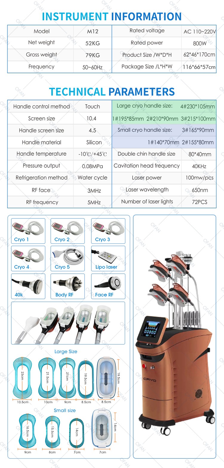 Vertical Cryolipolyse 360Cryo 5 handles Slimming Machine