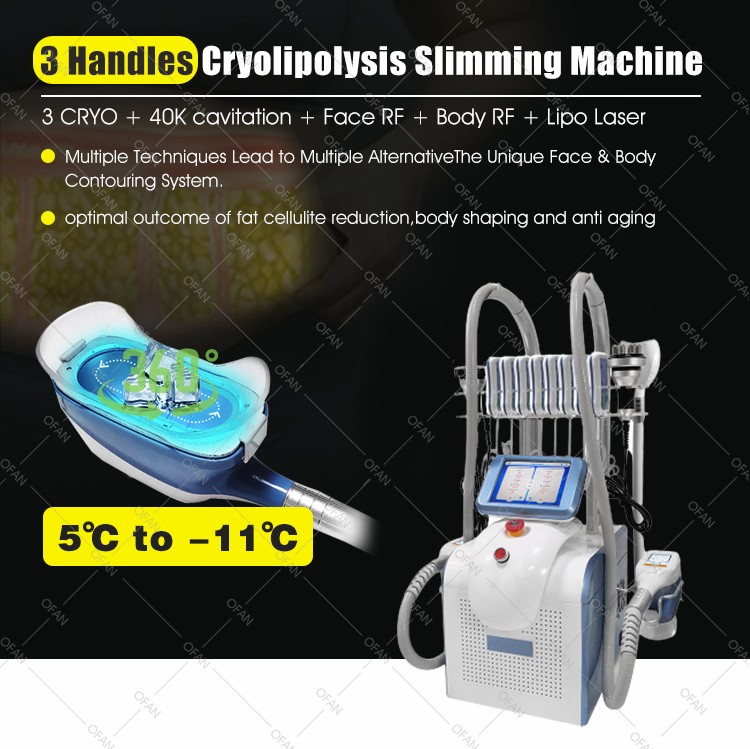 Portable Fat Freezing Body Shaping Slimming Cryolipolysis Weight