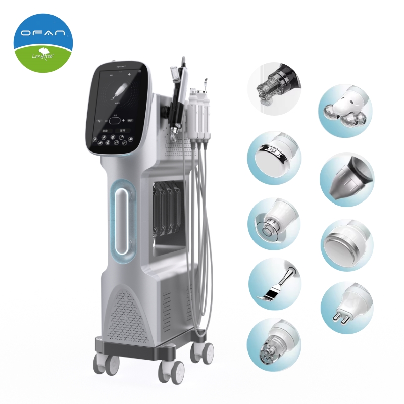 9 in 1 Beauty Salon Hydra Dermabrasion Skin Cleansing Aqua Peel Oxygen Jet Facial Machine